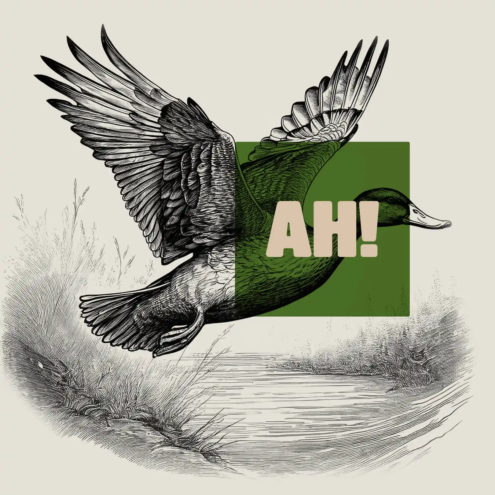 A mallard drake in flight with Austin’s logo placed very precisely on top of it.